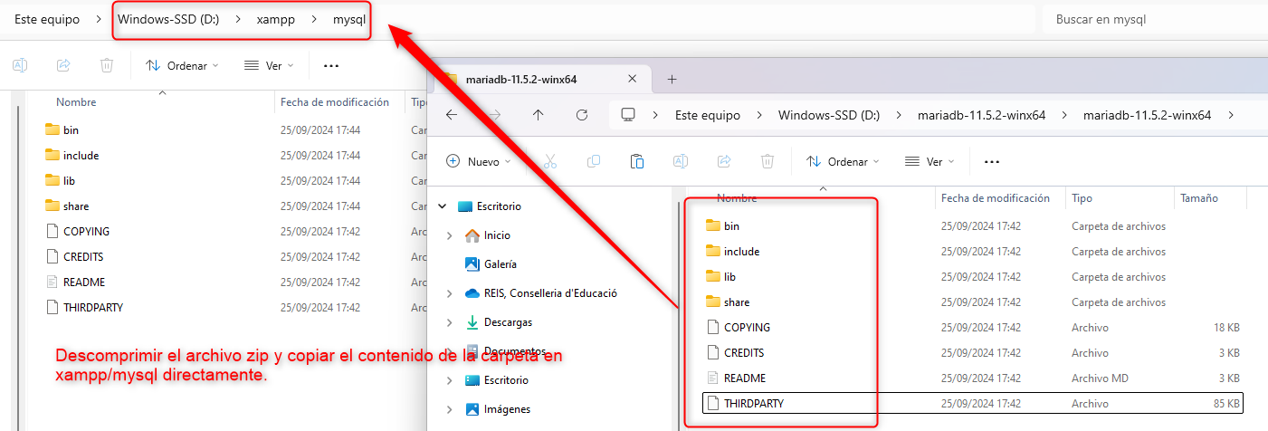 Copiar en xampp/myql